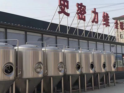 毛道乡精酿啤酒设备厂—市场规模与跨界新需求